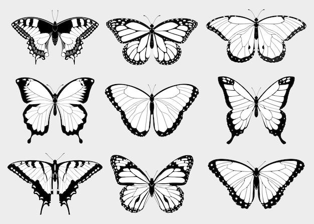 Vector colección de vectores aislados de siluetas de mariposas en blanco y negro de vista superior