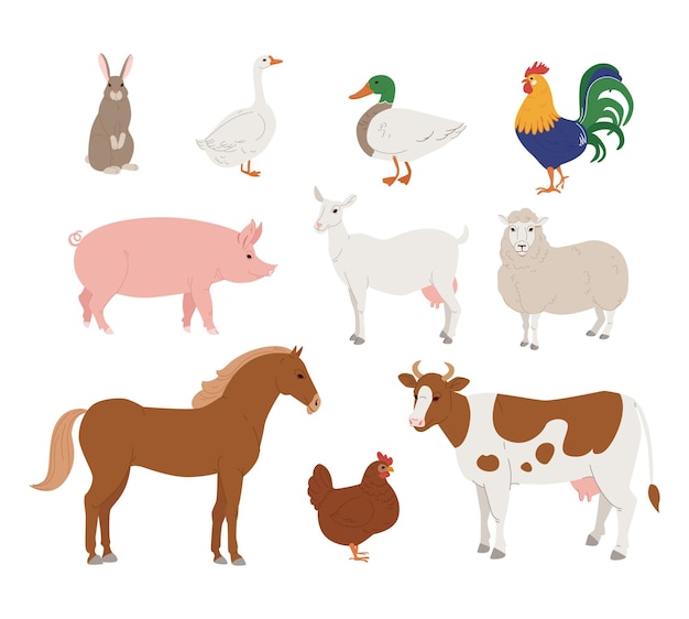Colección de vectores de animales de granja y aves en estilo moderno y plano