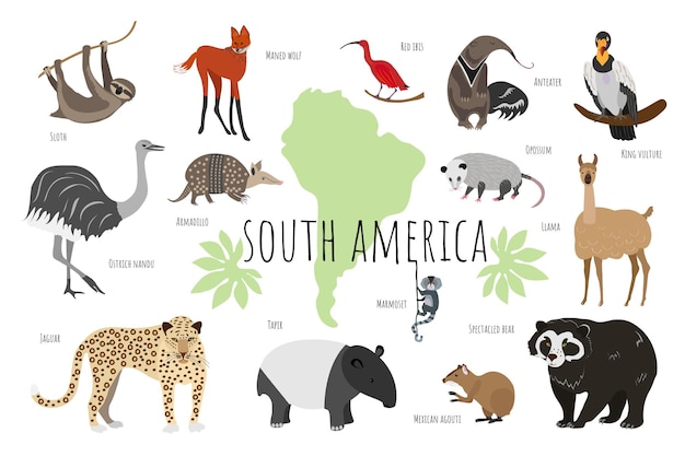 Colección de vectores con animales sudamericanos. ilustración con lindos animales para niños. perezoso