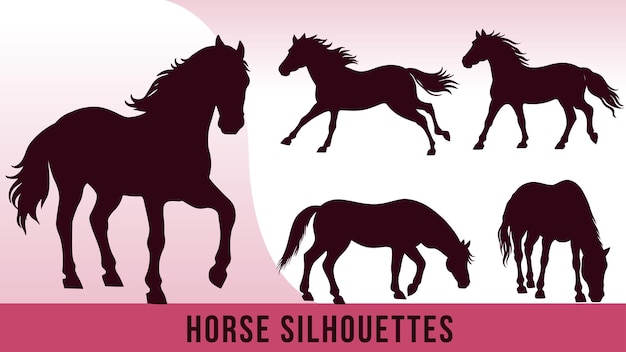 Colección de vectores detallados de silueta de caballo