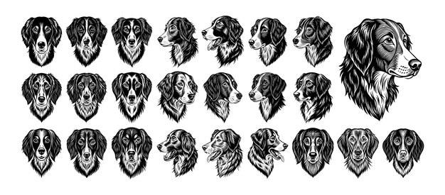 Colección de vectores de diseño de cabezas de perros brittany dibujados a mano