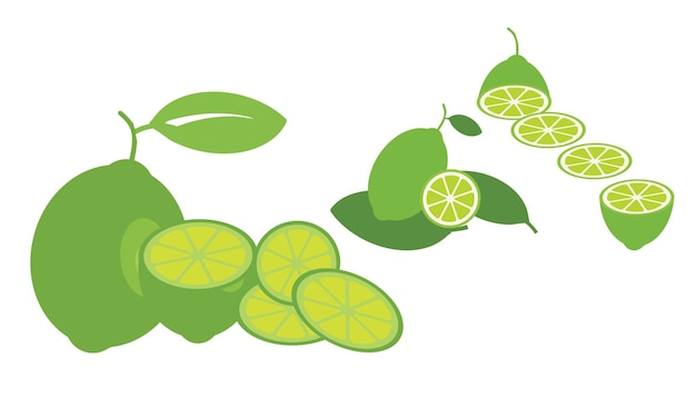 Colección de vectores e ilustraciones de limón