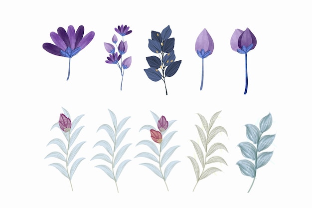 Colección de vectores de flores y hojas