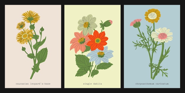 Colección de vectores de flores. Plantas herbáceas con flores, flores en flor, subarbustos