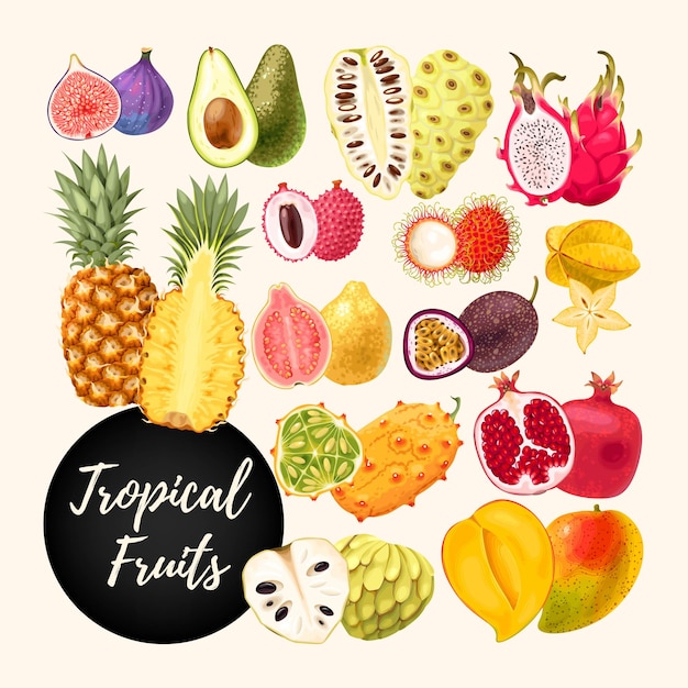 Colección de vectores de frutas tropicales