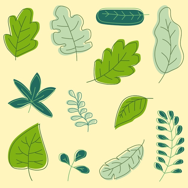 colección de vectores de hojas