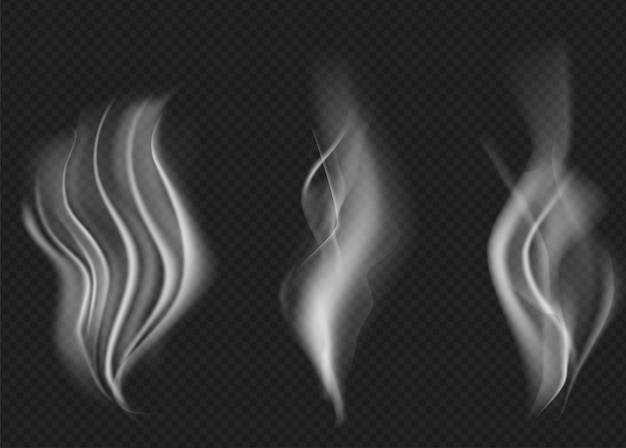 Colección de vectores de humo aislado fondo transparente Conjunto de ondas de vapor de humo blanco realista de café té cigarrillos comida caliente Efecto de niebla y niebla