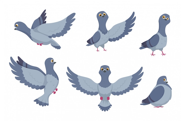 Colección de vectores de palomas de dibujos animados