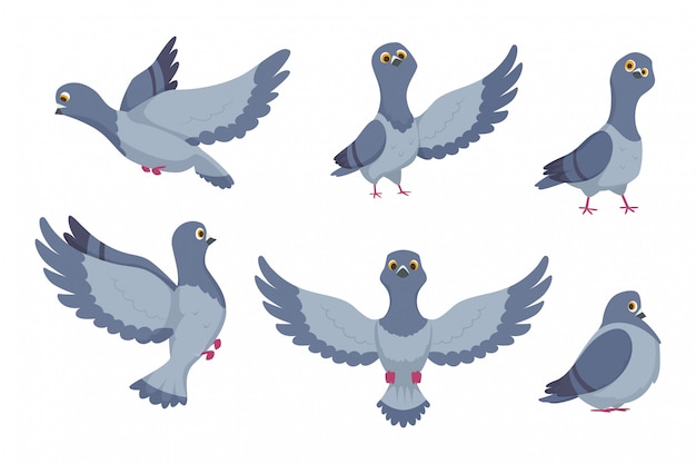 Comienzo Finito Arrastrarse Colección de vectores de palomas de dibujos animados | Vector Premium