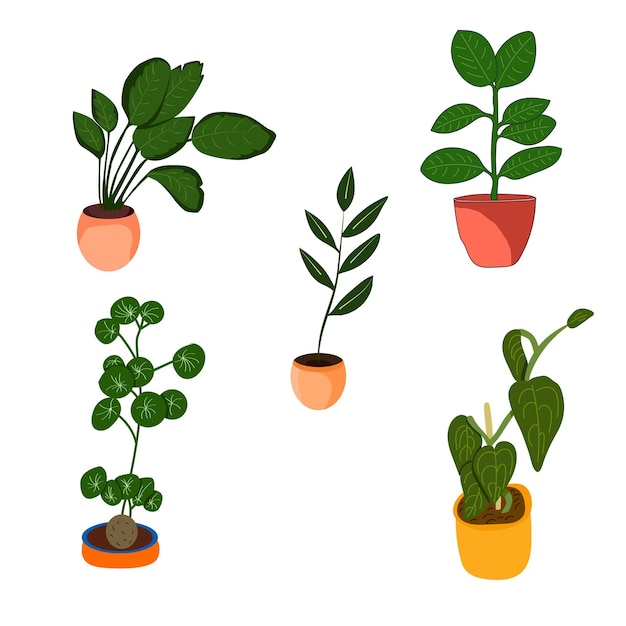 Colección de vectores de plantas