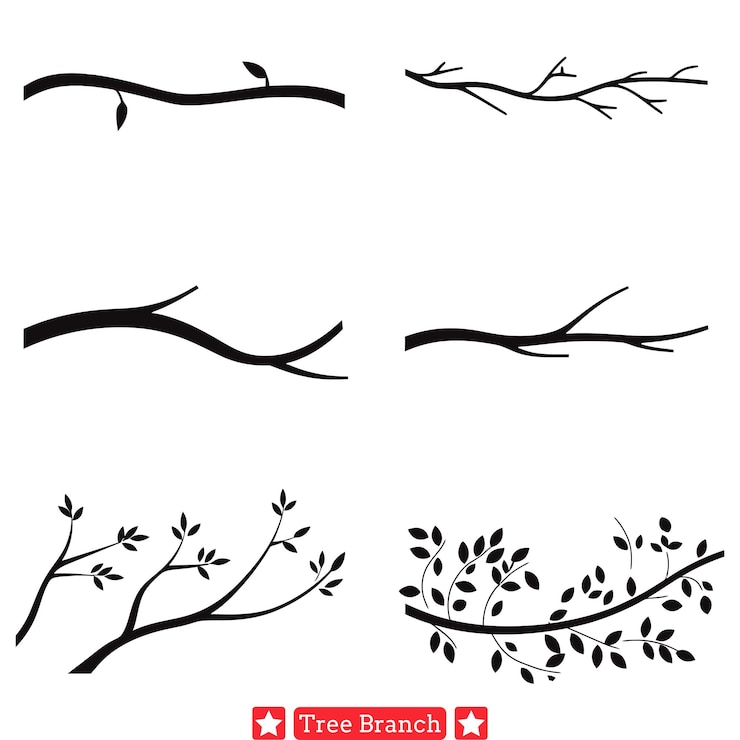 Vector colección de vectores de ramas de árboles pacíficos