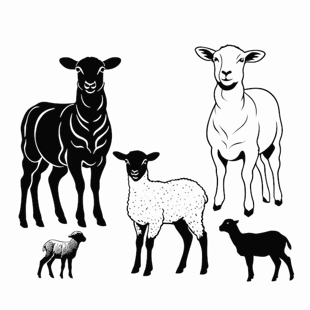 Colección de vectores de silueta de cordero y oveja