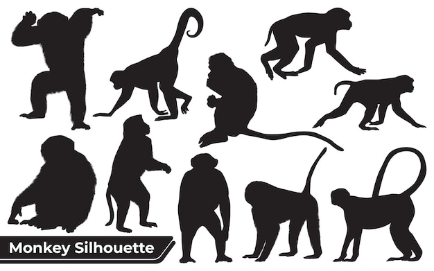 Vector colección de vectores de siluetas de monos animales