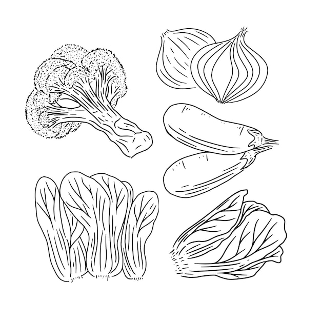 colección de vectores de verduras en estilo dibujado a mano