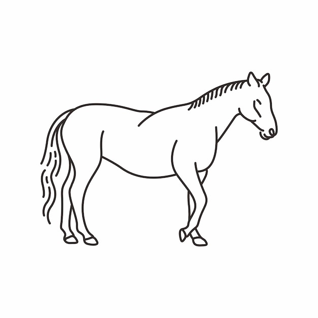 Colección vectorial de animales de línea 7