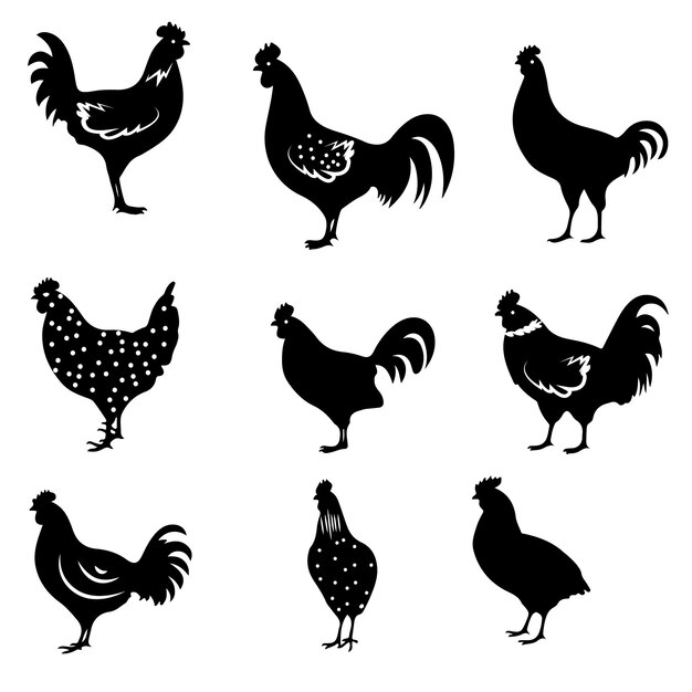 Colección vectorial de animales de pollo con silueta dibujada a mano