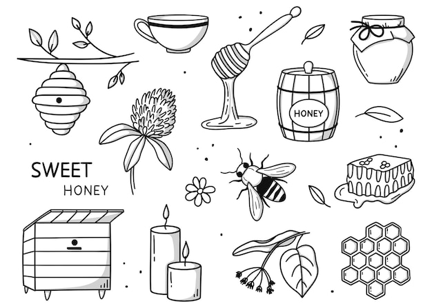 Colección vectorial de artículos de apicultura y miel dibujados a mano en estilo doodle