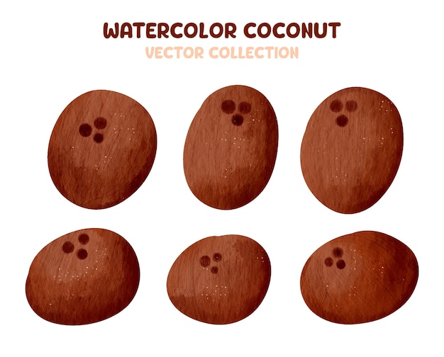 Colección vectorial de cliparts de acuarela y coco