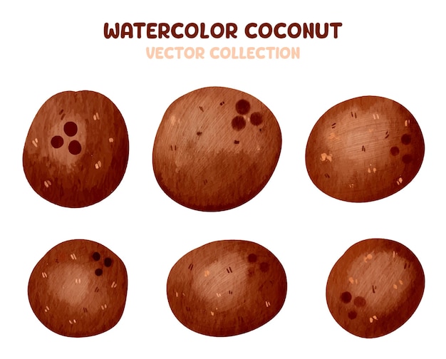 Colección vectorial de cliparts de acuarela y coco