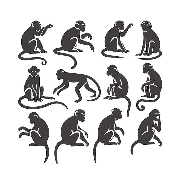 Colección vectorial de diseño de ilustraciones de animales salvajes con silueta de mono