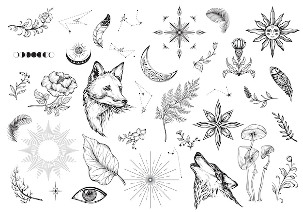 Colección vectorial de elementos boho de magia mística aislados en conjunto astrológico de brujería blanco Esbozo dibujado a mano objetos esotéricos
