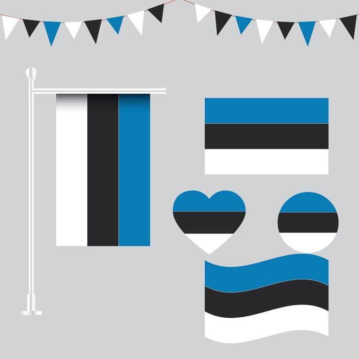colección vectorial de emblemas e íconos de la bandera de Estonia en diferentes formas