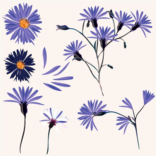 Colección vectorial de flores silvestres azules para el diseño