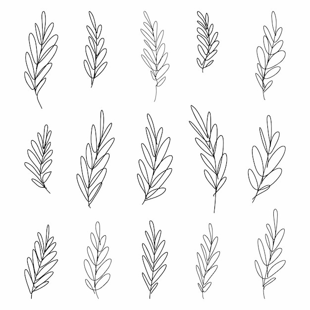 Vector colección vectorial de hojas dibujadas aquí a mano al estilo de una línea de garabatos.