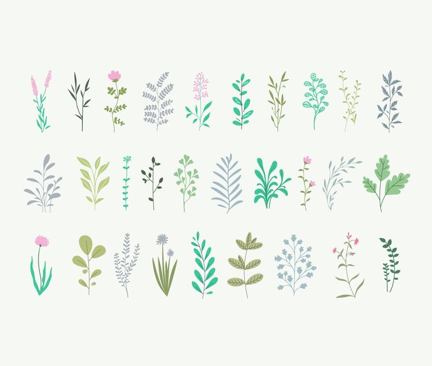 Colección vectorial de plantas bosques hierbas tropicales hojas flores conjunto botánico colores pastel diseño minimalista Clipart para volantes de paquetes carteles