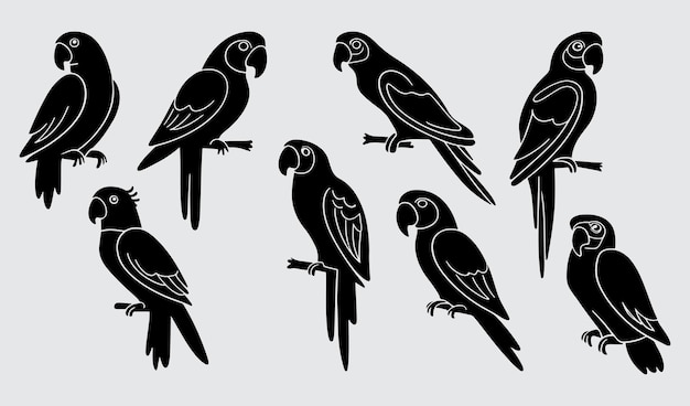 Colección vectorial de siluetas de aves Papagaio dibujado a mano