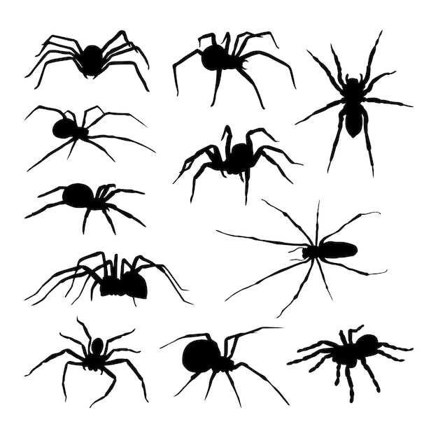 colección vectorial de siluetas negras de araña