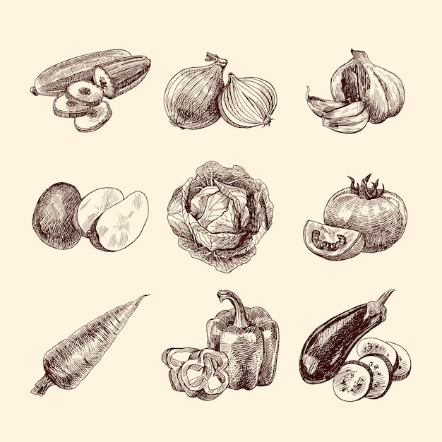 Colección de verduras bocetadas