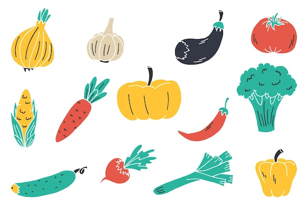 Colección de verduras dibujadas a mano elementos aislados diseño vectorial