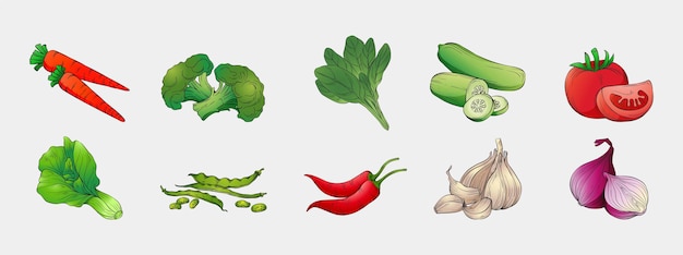 Vector colección de verduras dibujadas a mano vector gratuito