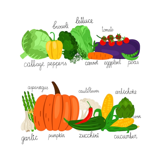 Vector colección de verduras de dibujos animados. mercado de alimentos frescos en el fondo blanco