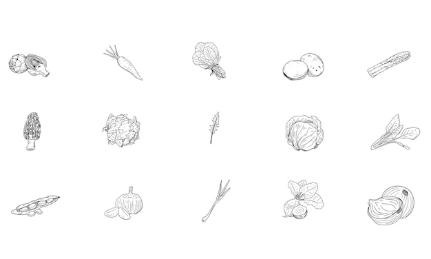 Colección de verduras de primavera dibujadas a mano