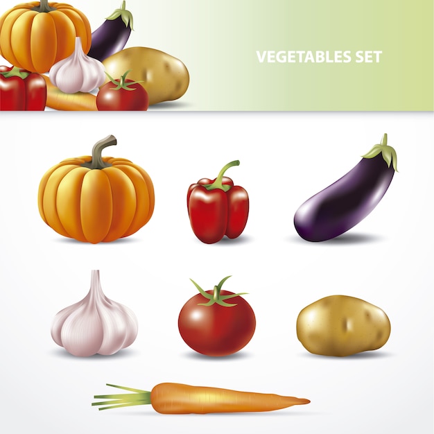 Colección de verduras realistas