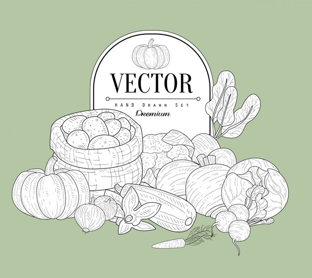 Colección de verduras vintage sketch