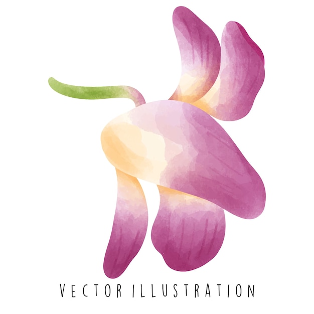 Colección de viajes de Tailandia Acuarela de orquídeas Ilustración vectorial de flores