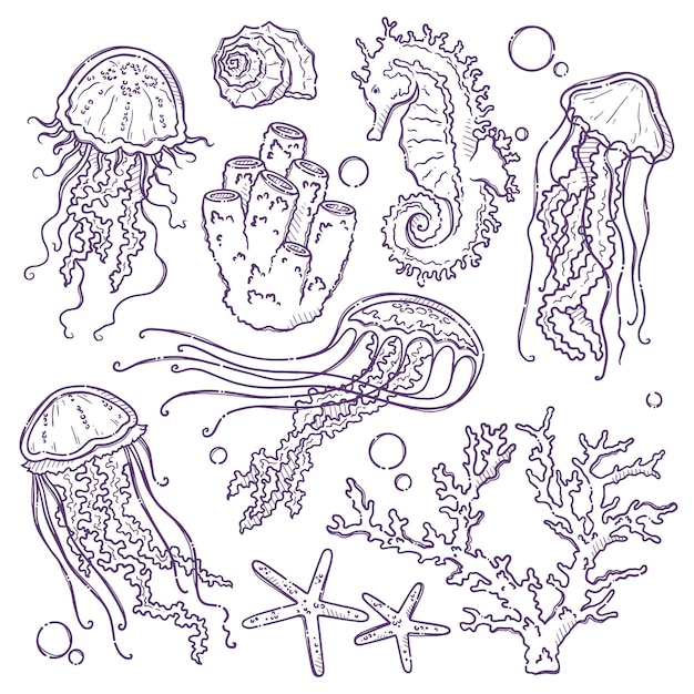 Vector colección de vida marina dibujada a mano vector medusas algas coralinas caballitos de mar y estrellas de mar