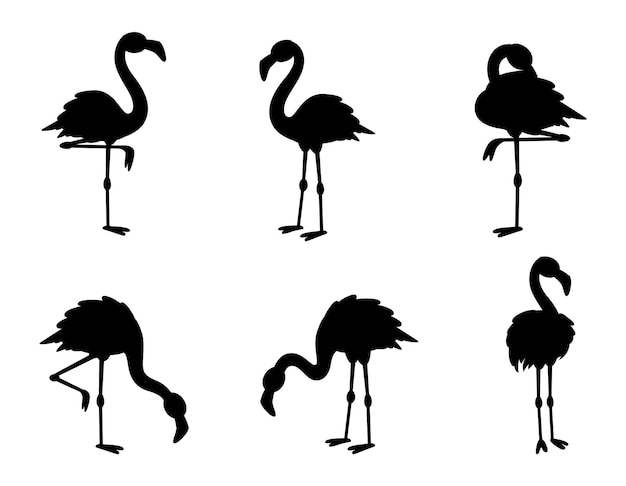 Vector colecciones de flamencos silueta vectorial aislada