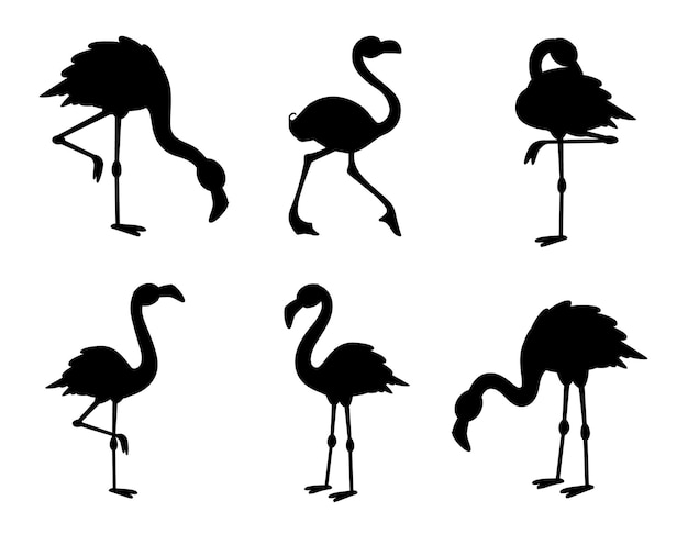 Colecciones de flamencos silueta vectorial aislada