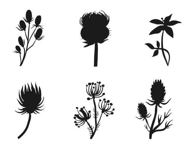 Colecciones de flores silueta vectorial aislada