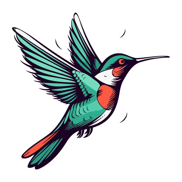 Colibri colorido aislado sobre fondo blanco Ilustración vectorial para su diseño