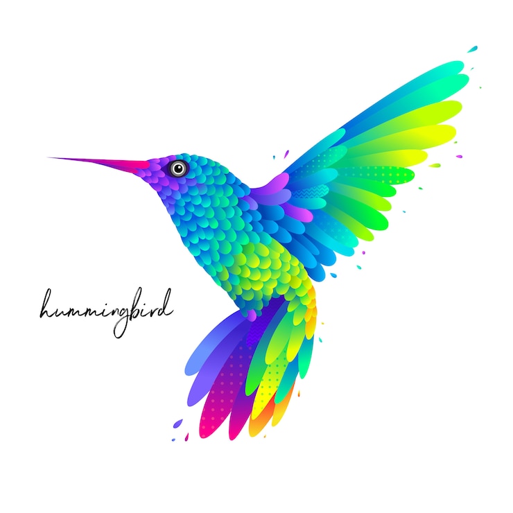 Vector colibrí colorido