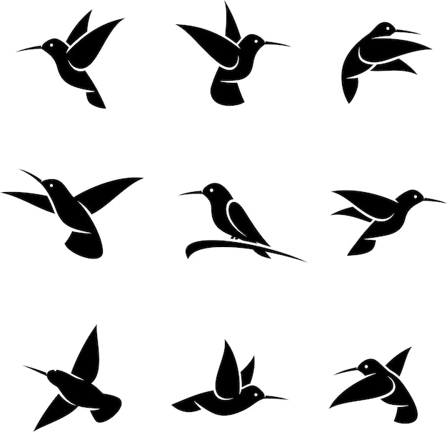 colibrí, conjunto, vector