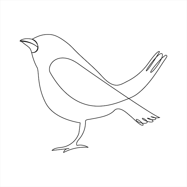 El colibrí continúa con el arte de una sola línea y la ilustración vectorial del contorno sobre fondo blanco