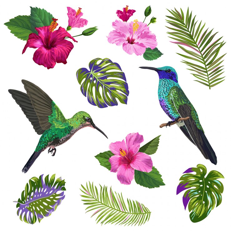 Vector colibrí, flores de hibiskus y hojas de palmera tropical