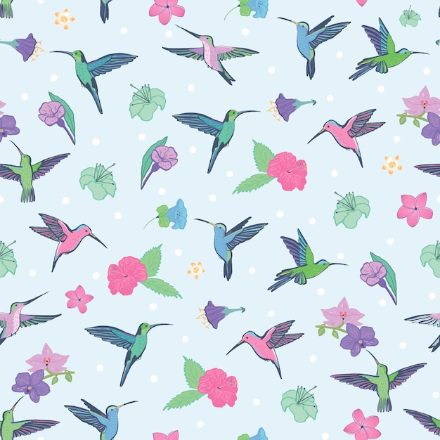 Colibri pajarito con flores vector de patrones sin fisuras