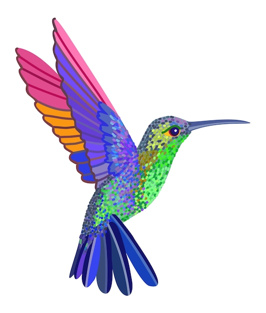 Vector colibrí pájaro pequeño exótico ilustración aislada del vector brillante